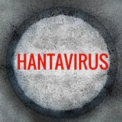 Czerwony napis "HANTAWIRUS" na tle okręgu z szarym, ziarnistym wzorem.
