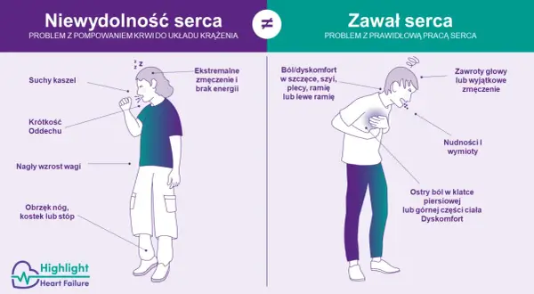 Osoba z zawałem serca odczuwa ostry ból w klatce piersiowej, nudności i zawroty głowy. To nie nerwobóle serca, lecz poważny problem z pracą serca.