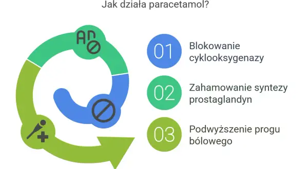 Schemat działania paracetamolu: blokuje cyklooksygenazę, hamuje syntezę prostaglandyn, podwyższa próg bólowy. Nie jest to lek na spazmolinę.