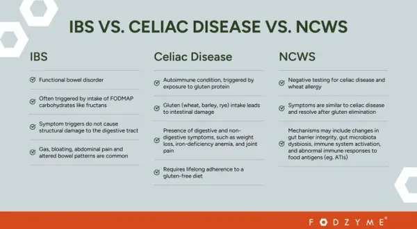 Porównanie IBS, celiakii i NCWS. Celiakia objawy: choroba autoimmunologiczna wywołana glutenem, prowadząca do uszkodzenia jelit i wymagająca diety bezglutenowej.