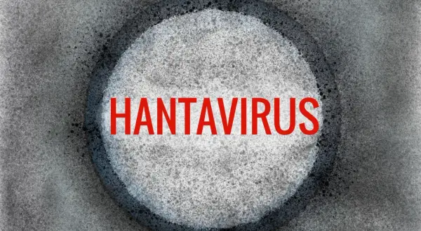 Czerwony napis "HANTAWIRUS" na tle okręgu z szarym, ziarnistym wzorem.