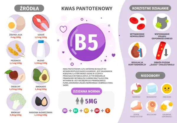 Kwas pantotenowy (B5) wspiera metabolizm, układ nerwowy i skórę. Znajduje się w jajkach, łososiu, mleku, orzechach i awokado.